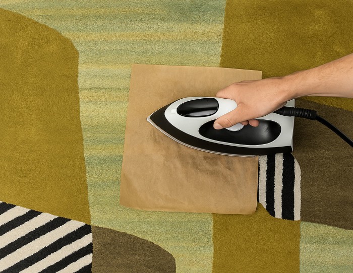 how_do_i_get_chewing_gum_out_of_carpet